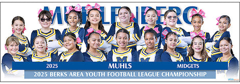 2025 Cheerleading Posters