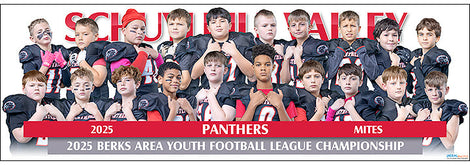 2025 Football Posters