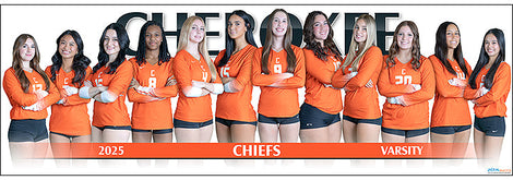 2025 Volleyball Posters