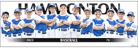 2023 Hammonton Baseball 7U