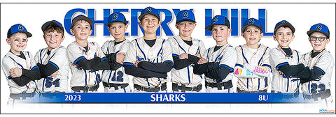2023 Cherry Hill Sharks 8UA