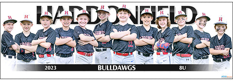 2023 Haddonfield Bulldawgs 8U