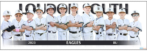 2023 Loudon South Eagles 8U