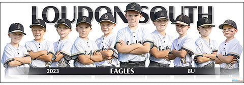 2023 Loudon South Eagles 8U-2
