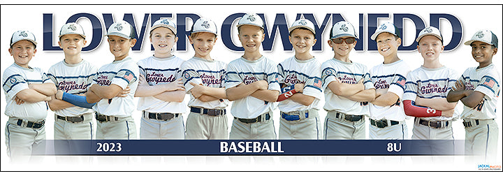 2023 Lower Gwynedd Baseball 8U