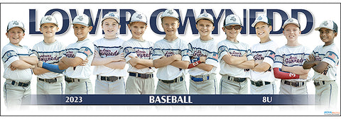 2023 Lower Gwynedd Baseball 8U