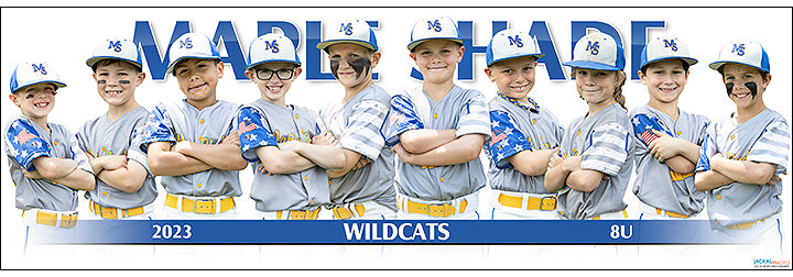 2023 Maple Shade Baseball 8U