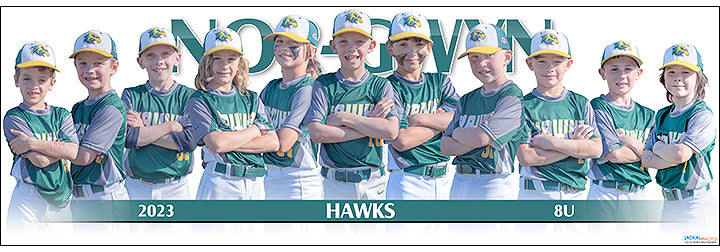 2023 Nor-Gwyn Hawks 8U