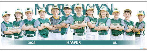 2023 Nor-Gwyn Hawks 8U
