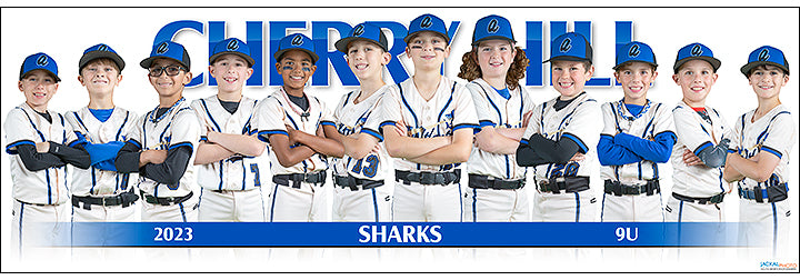 2023 Cherry Hill Sharks 9U