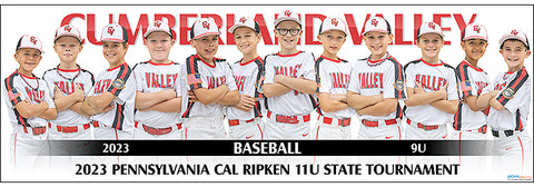 2023 Cumberland Valley Baseball 9U