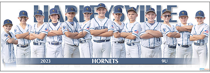 2023 Harleysville Hornets 9U