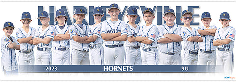 2023 Harleysville Hornets 9U