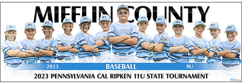 2023 Mifflin County Baseball 9U