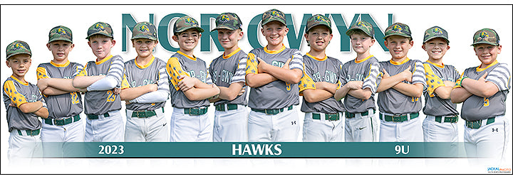 2023 Nor-Gwyn Hawks 9U