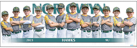 2023 Nor-Gwyn Hawks 9U