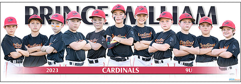 2023 Prince William Cardinals 9U