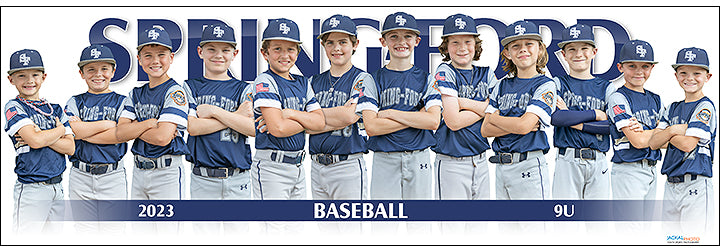 2023 Spring-Ford Baseball 9U
