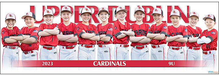 2023 Upper Dublin Cardinals 9U