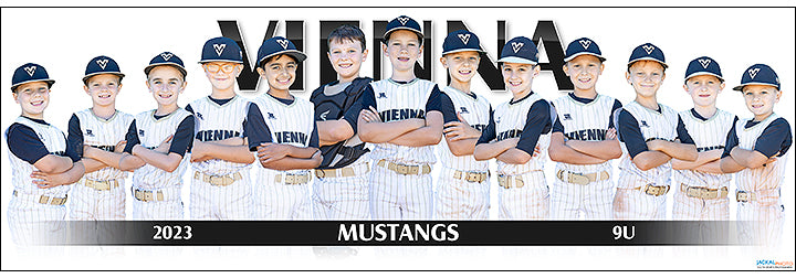 2023 Vienna Mustangs 9U
