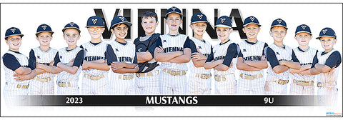 2023 Vienna Mustangs 9U