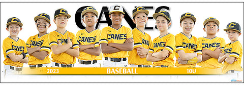 2023 Canes Baseball 10U