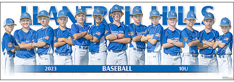 2023 Llanerch Hills Baseball 10U