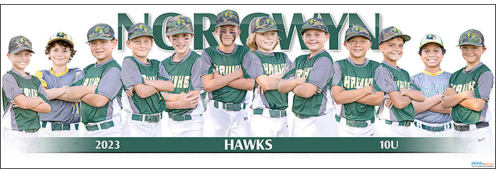 2023 Nor-Gwyn Hawks 10U