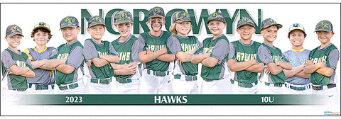 2023 Nor-Gwyn Hawks 10U