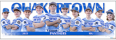 2023 Quakertown Panthers 10U