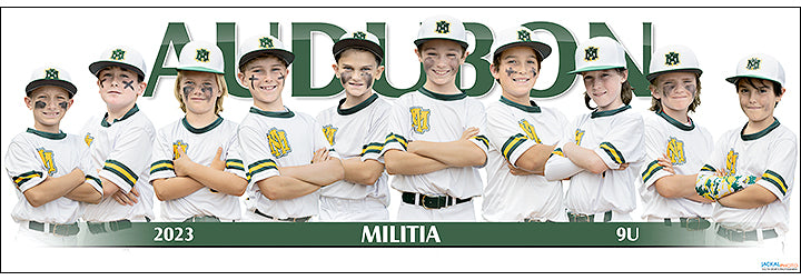 2023 Audubon Militia 9U