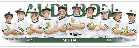 2023 Audubon Militia 9U