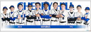 2023 Cherry Hill Sharks 11U