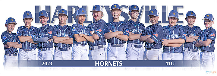 2023 Harleysville Hornets 11U