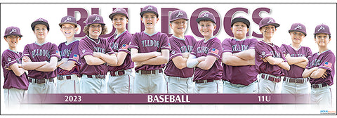 2023 JA Bulldogs 11U