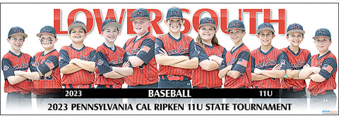 2023 Lower South Baseball 11U