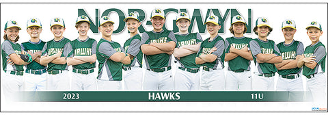 2023 Nor-Gwyn Hawks 11U