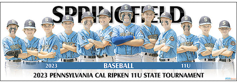 2023 Springfield Baseball 11U