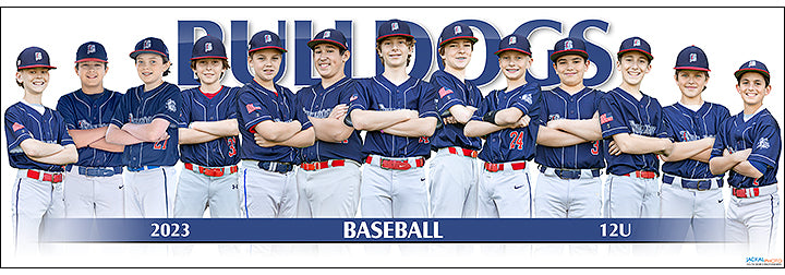 2023 Bulldogs Baseball 12U
