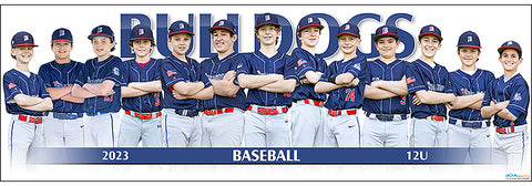 2023 Bulldogs Baseball 12U