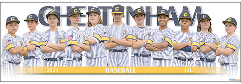 2023 Cheltenham Baseball 12U