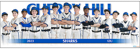 2023 Cherry Hill Sharks 12U