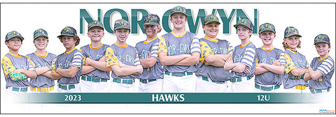 2023 Nor-Gwyn Hawks 12U