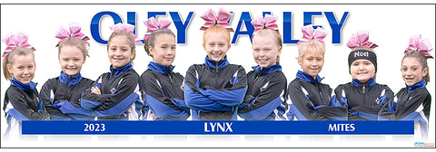 2023 Oley Valley Lynx Mites