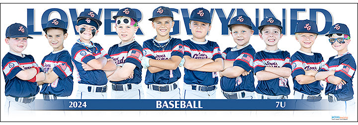 2024 Lower Gwynned Baseball 7U