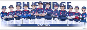 2024 Blue Ridge Senators 8U