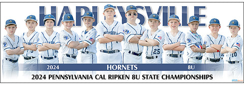 2024 Harleysville Hornets 8U