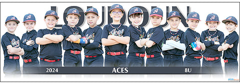 2024 Loudoun Aces 8U