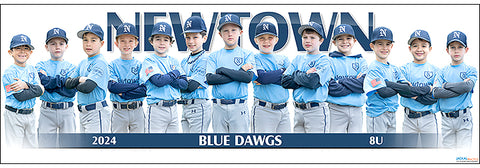 2024 Newtown Blue Dawgs 8U