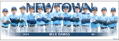 2024 Newtown Blue Dawgs 8U